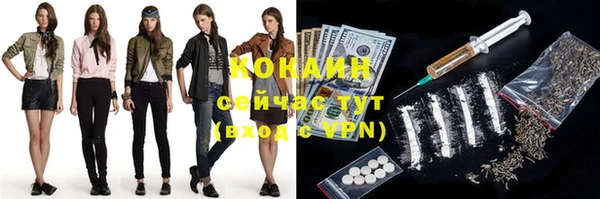 сатива Покачи