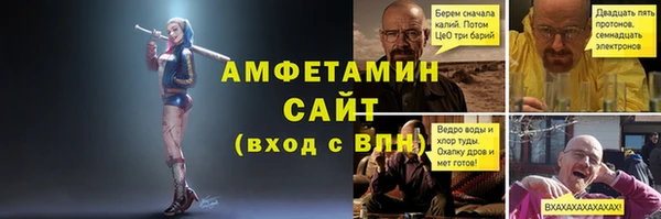 сатива Покачи