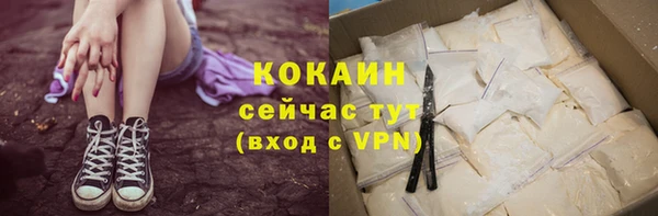 сатива Покачи