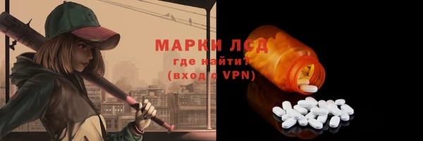 сатива Покачи