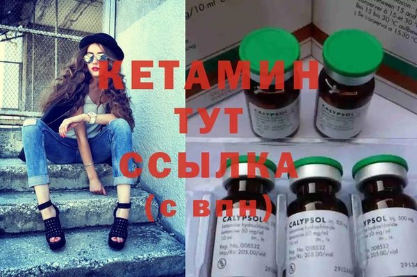 сатива Покачи