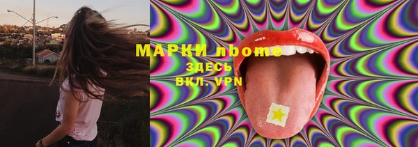 сатива Покачи