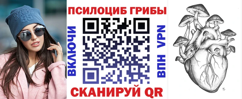сайты даркнета клад  Норильск  Псилоцибиновые грибы Psilocybine cubensis 