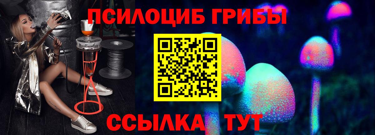 Псилоцибиновые грибы Psilocybine cubensis Норильск
